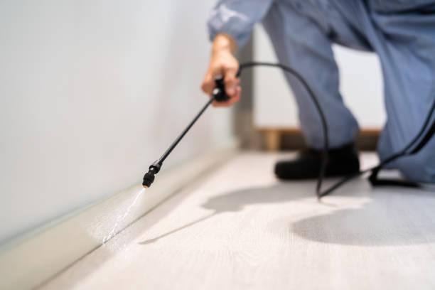 Licensed Mosquito Control service in North Brooksville, FL - Show Me Pest Control