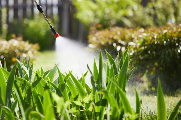 24/7 Emergency Mosquito Control experts in North Brooksville, FL