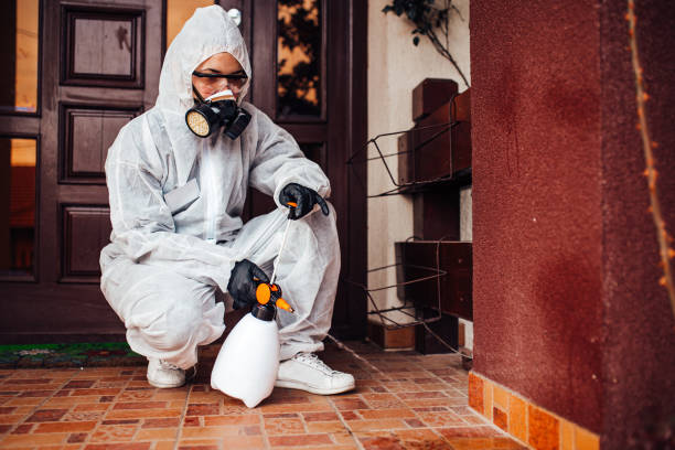 Reliable Mosquito Control contractor in North Brooksville, FL by Show Me Pest Control